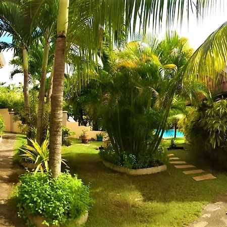 Alona42 Resort Panglao Exteriér fotografie
